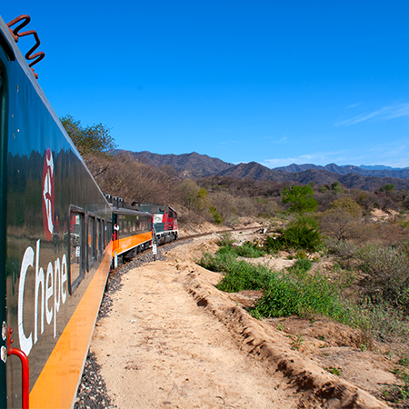 ah chihuahua en tren con vuelo